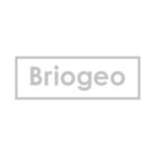 Briogeo Logo